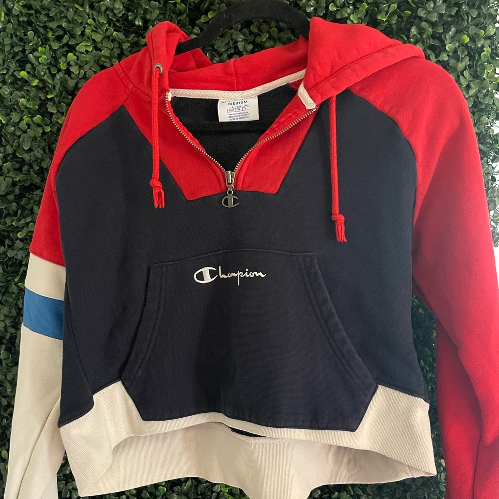 Vintage champion colorway crop top hoodie.